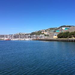 Wellington Accommodation Abudhabi