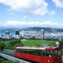 Wellington Accommodation Abudhabi