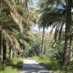 Al Ḩamrāʼ Accommodation Abudhabi