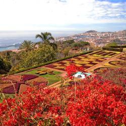 Funchal Accommodation Abudhabi