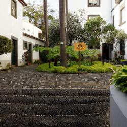 Funchal's Museum of Natural History, Funchal Accommodation Abudhabi