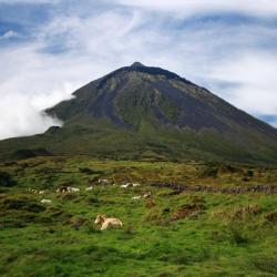 Pico island Accommodation Abudhabi