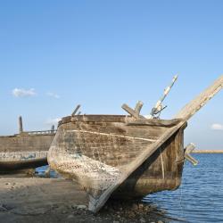 Dammam Accommodation Abudhabi