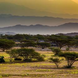 Jazan Province Accommodation Abudhabi