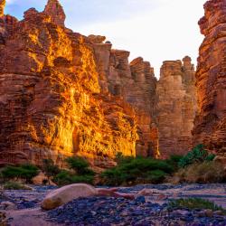 Tabuk Province Accommodation Abudhabi