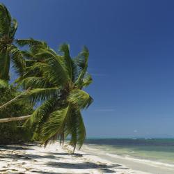 Grand'Anse Praslin Accommodation Abudhabi