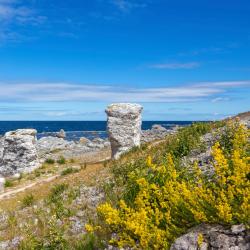 Gotland Accommodation Abudhabi