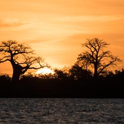 Fatick Accommodation Abudhabi