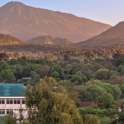 Arusha Accommodation Abudhabi