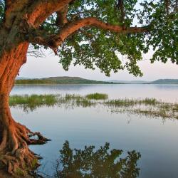 Babati Accommodation Abudhabi