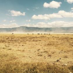 Karatu Administrative District Accommodation Abudhabi