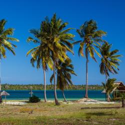 Mafia Accommodation Abudhabi