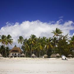 Paje Accommodation Abudhabi