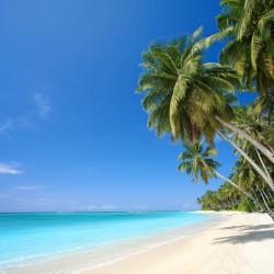 Hawaii Accommodation Abudhabi