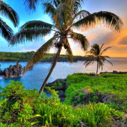 Maui Accommodation Abudhabi