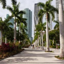 Miami Accommodation Abudhabi