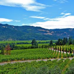 Napa Valley Wine Country Accommodation Abudhabi
