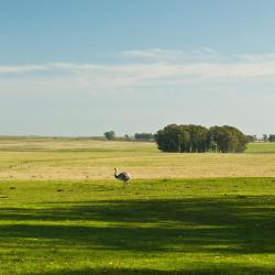 Rivera Accommodation Abudhabi