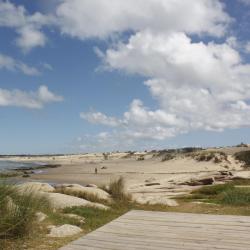 Rocha Accommodation Abudhabi