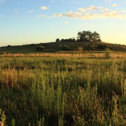 Salto Accommodation Abudhabi