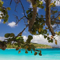 St Thomas Accommodation Abudhabi