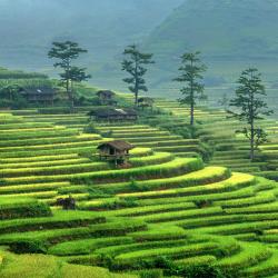 Ha Giang Accommodation Abudhabi