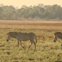 Kitwe Accommodation Abudhabi